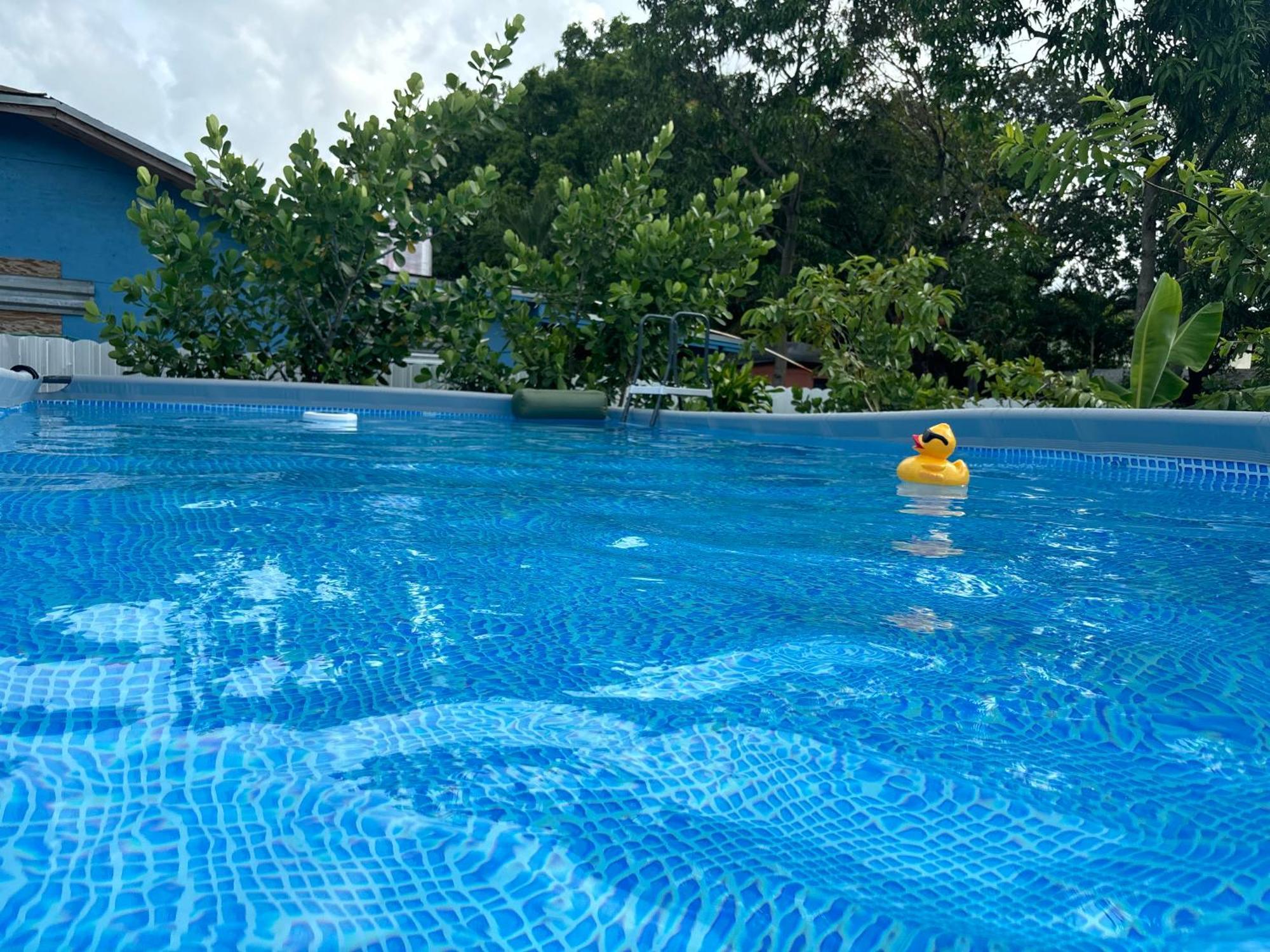 Mini House Oasis Hotel Miami Springs Exterior foto